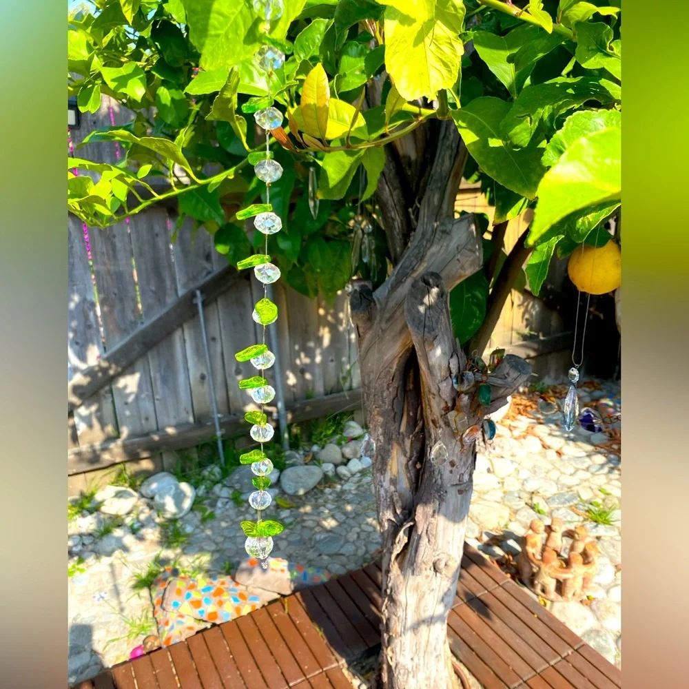 Sweet apple Sun Catcher